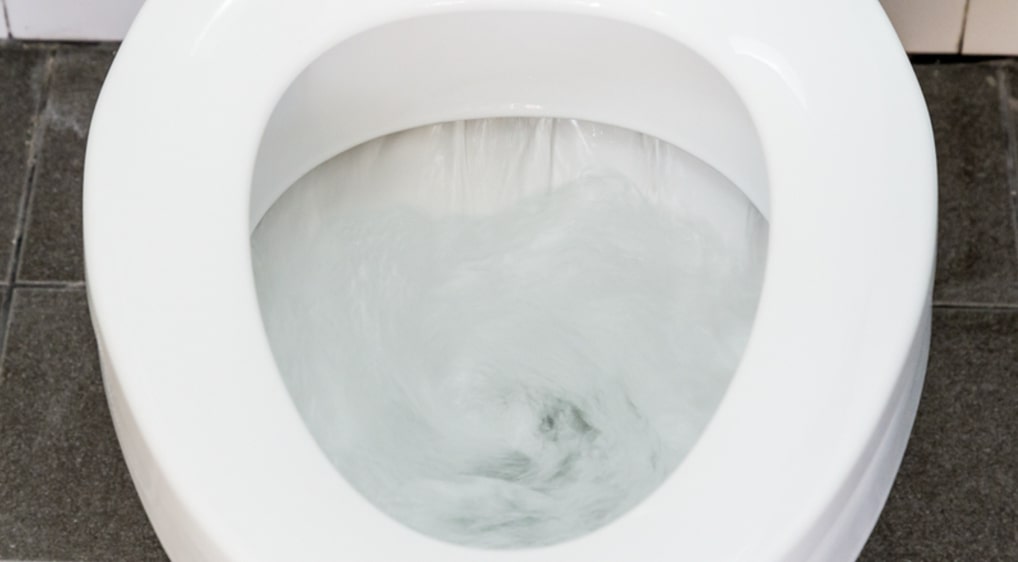 The toilet flushes by itself (Phantom Flushing)