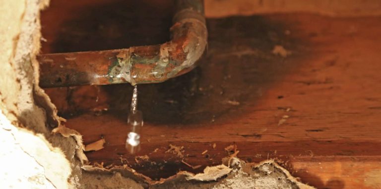 Perfect Original Photos about  Take A Look About Dripping Sound In Wall  as Your HD Pictures