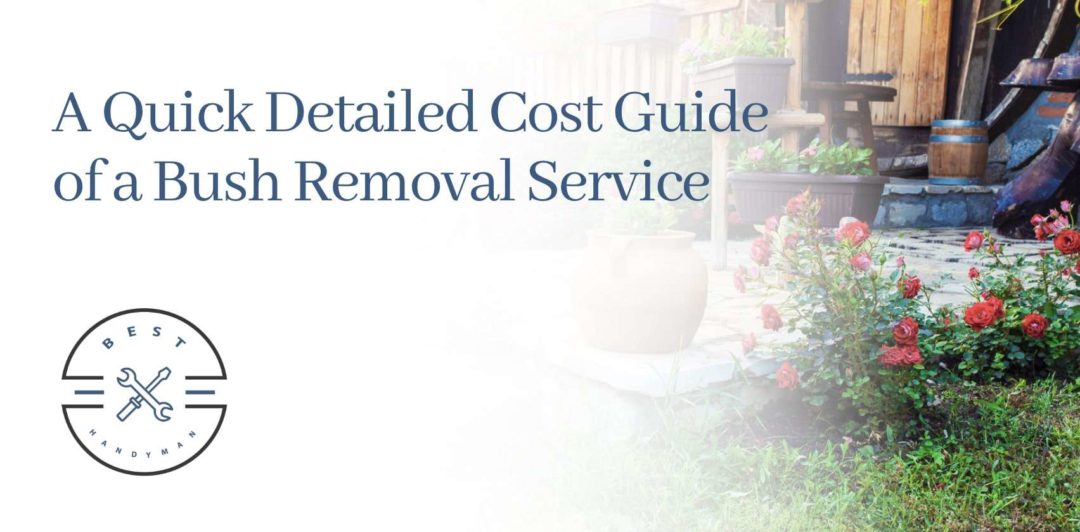 A Quick Cost Guide of Bush Removal Services