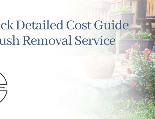 A Quick Cost Guide of Bush Removal Services