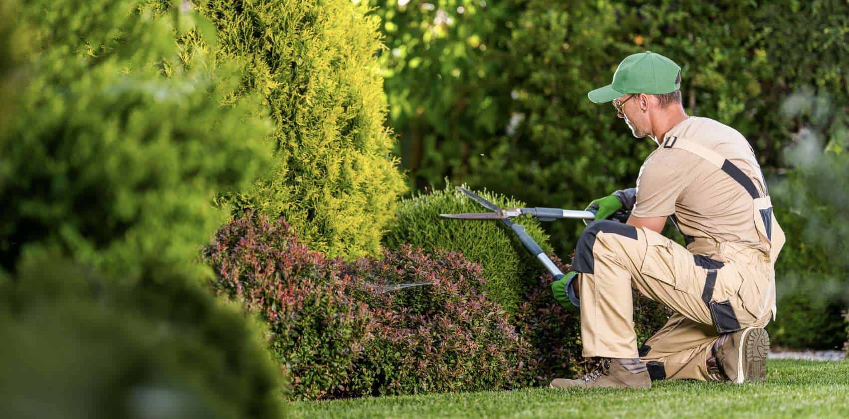 A Quick Cost Guide of Bush Removal Services [2026]