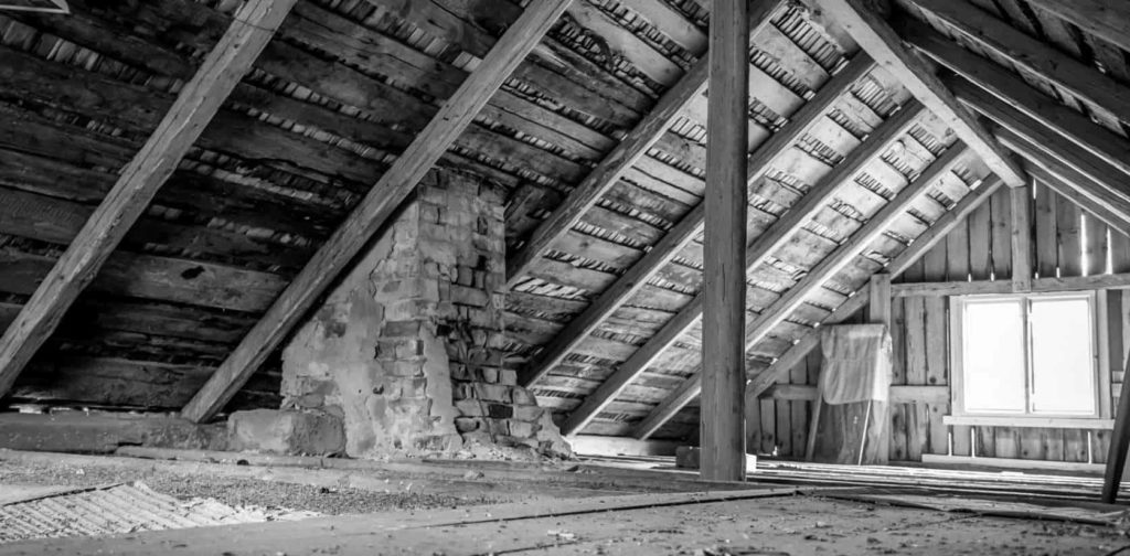 What is the typical cost of bat removal in the attic
