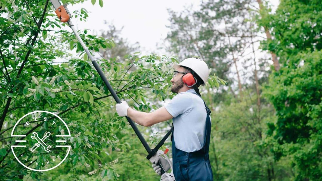 A Guide on Tipping Tree Trimmers
