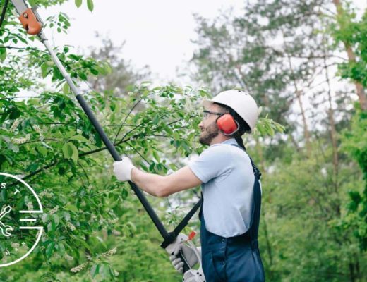 A Guide on Tipping Tree Trimmers