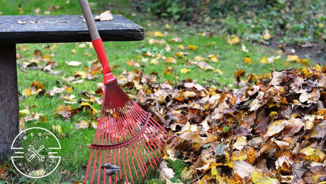 How much does leaf removal cost