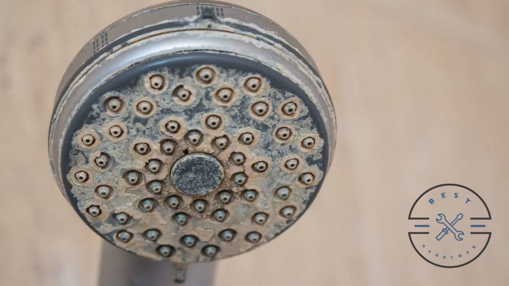 Which Is Better Electronic Descaler or Water Softener