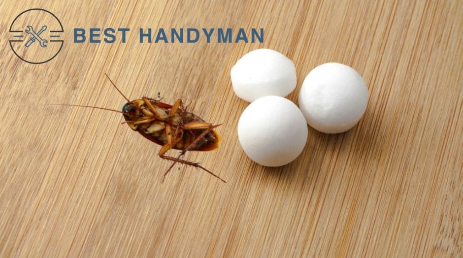 Are mothballs an effective roach repellent