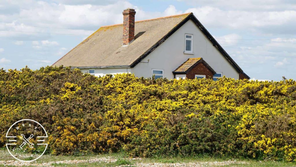 How can I save money building a chimney