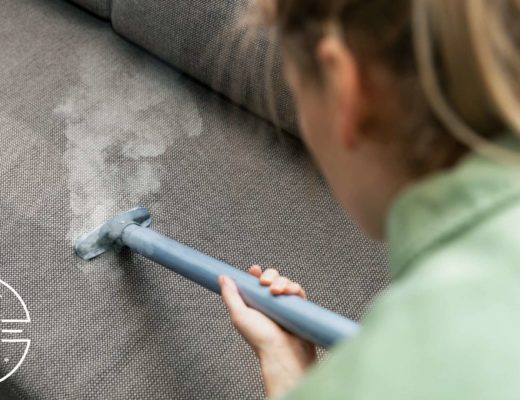 How much does professional couch cleaning cost