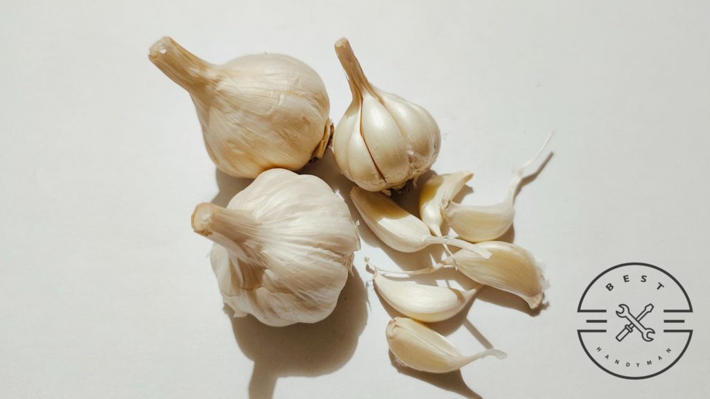 Make a garlic spray