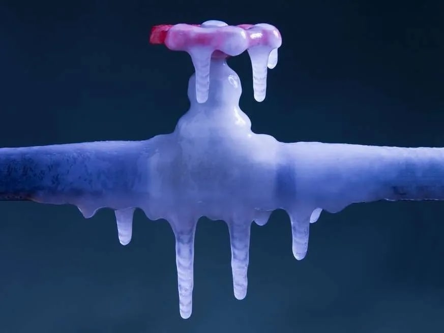 Monitor the thawing process