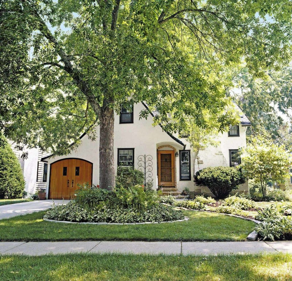 Plant shade trees