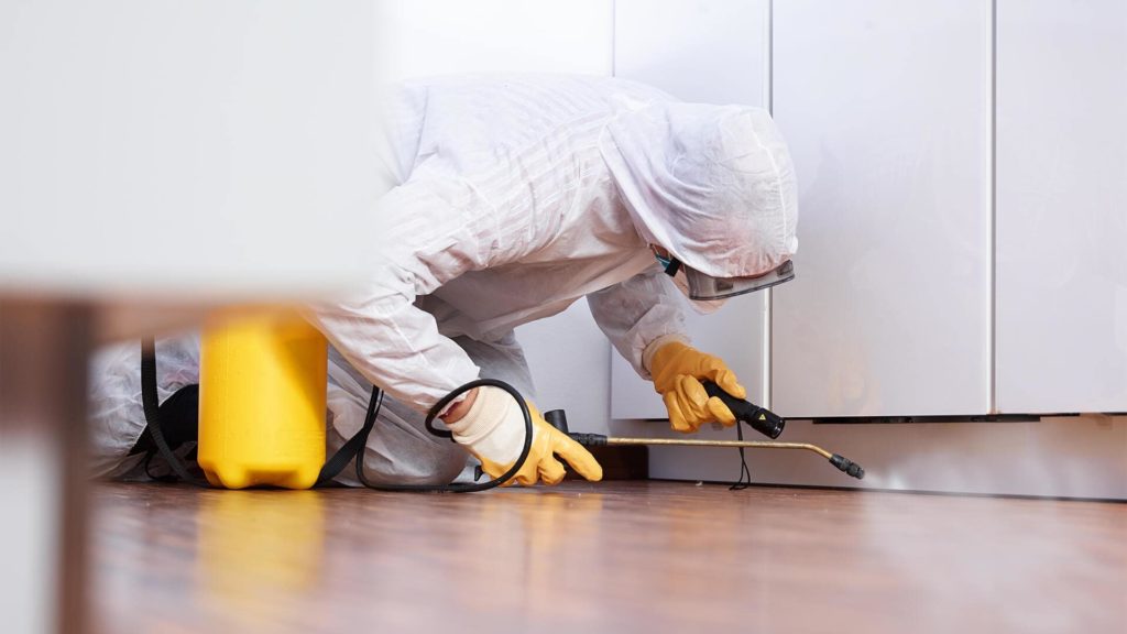 Professional Pest Control