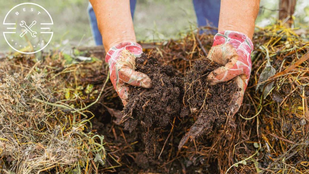 Reduce mulch and decaying plants around the home