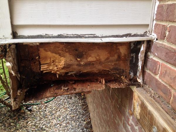 Subtle Indicators of Rot