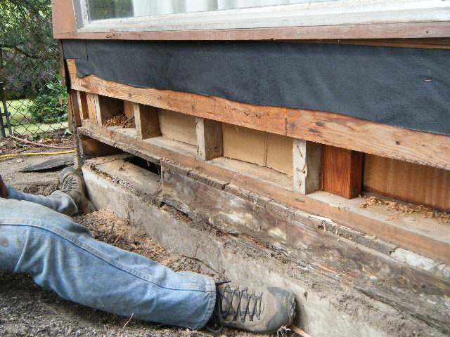 Why Inspect and Replace Your Sill Plate
