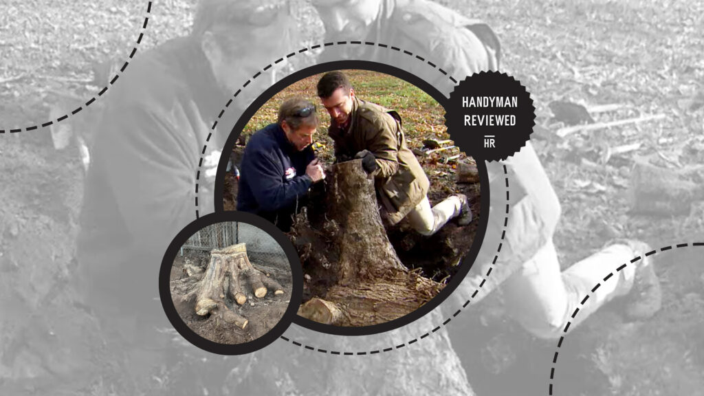 diy-stump-grinding-cost