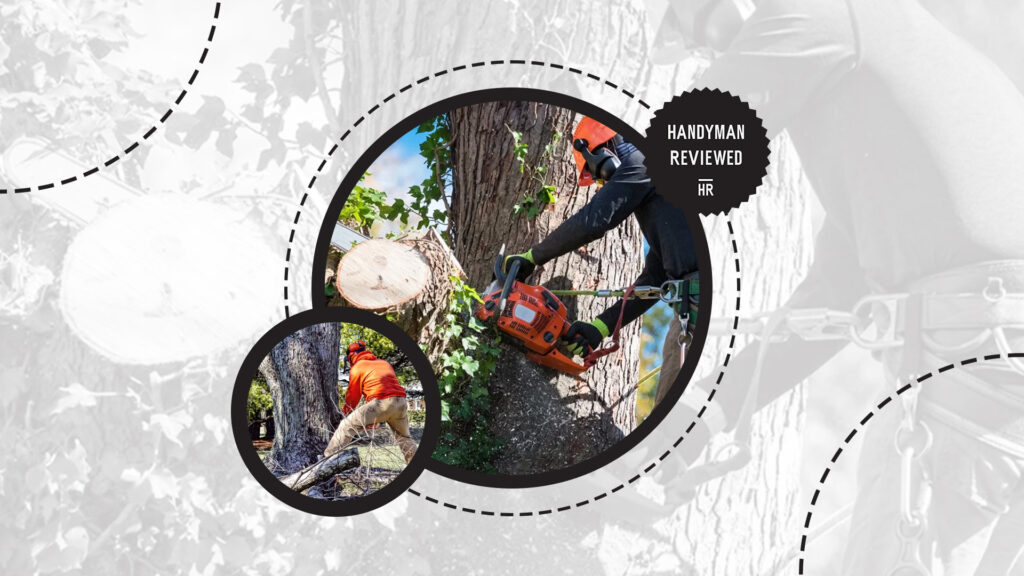 soil-excavation-factors-land-clearing