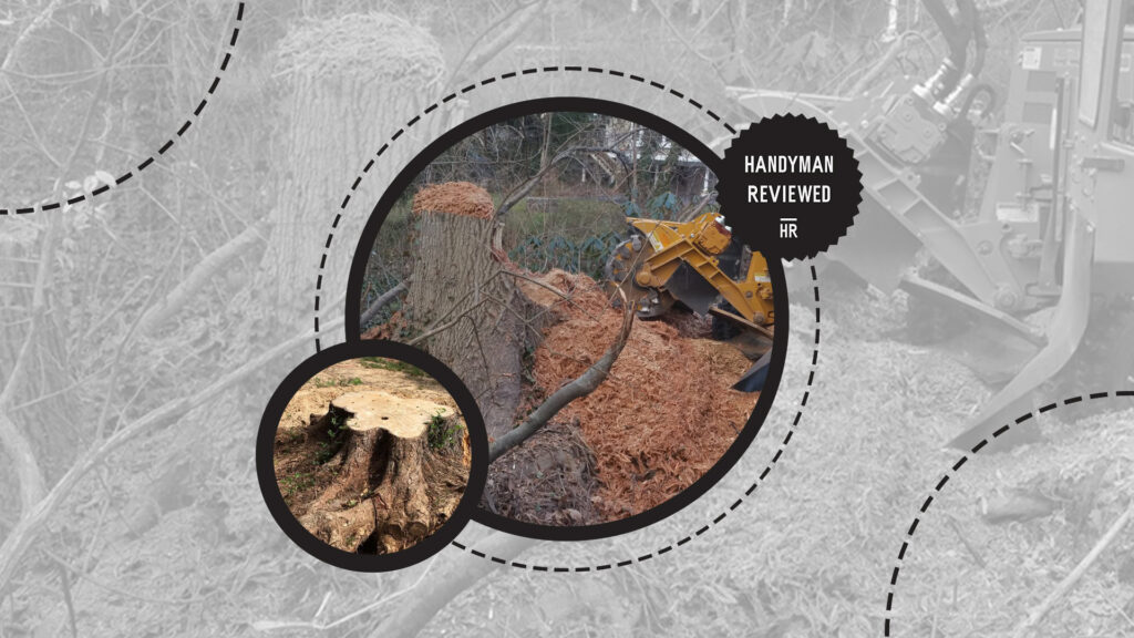 stump-grinding-factors-accessibility-and-terrain