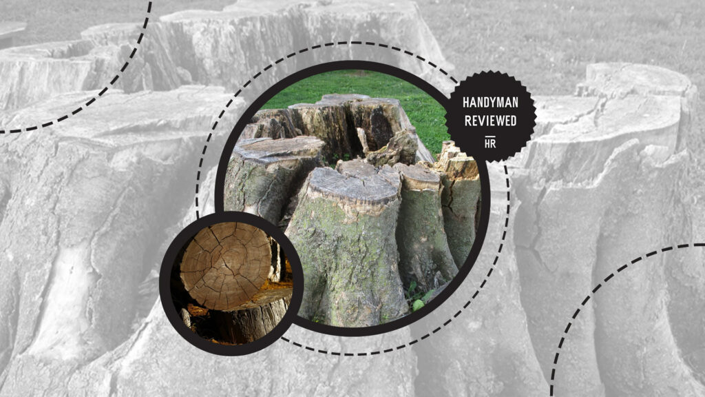 stump-grinding-factors-age-of-stump