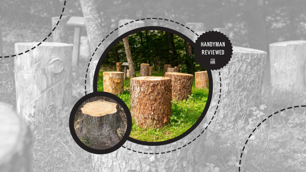 stump-grinding-factors-quantity