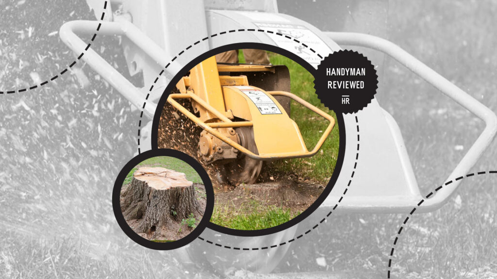 stump-grinding-factors-size