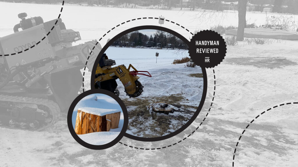 stump-grinding-factors-time-of-the-year