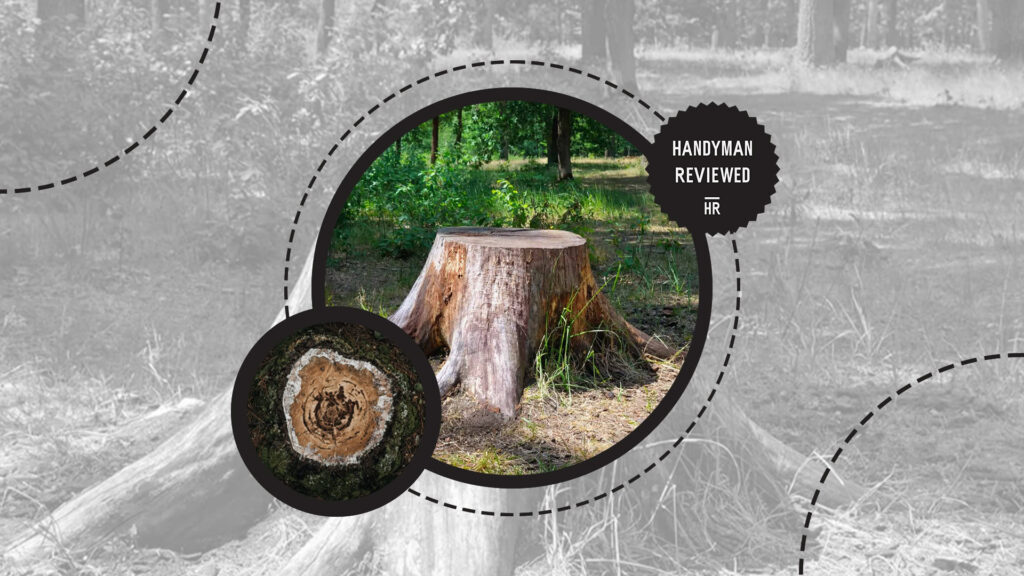stump-grinding-factors-type-of-stump