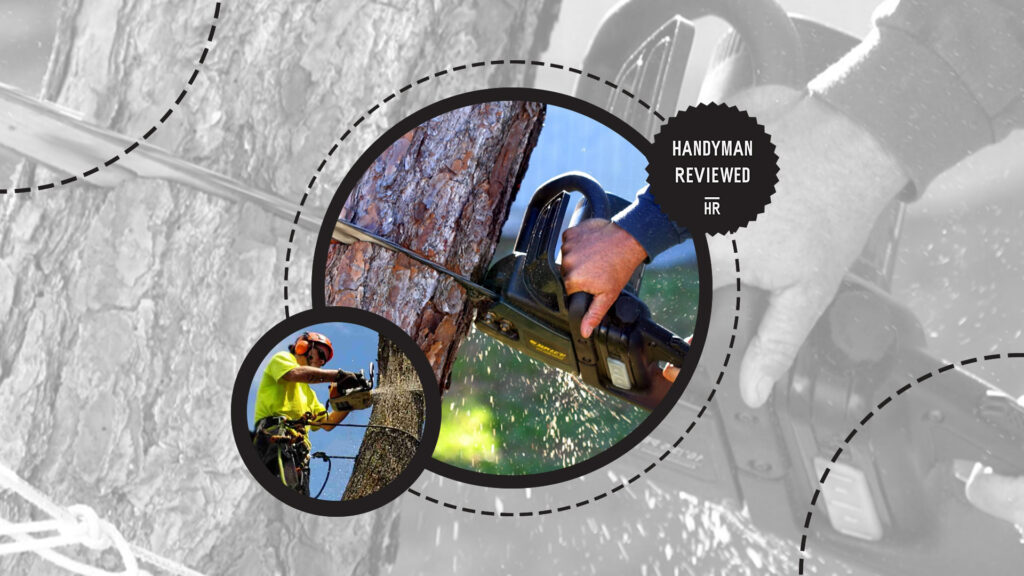 stump-grinding-tree-removal