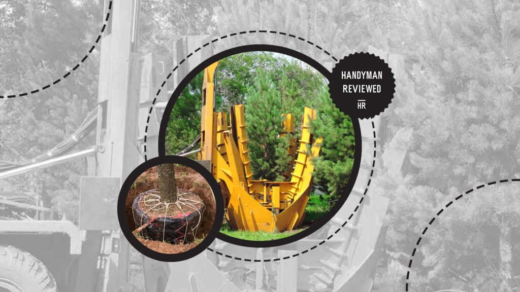 stump-grinding-tree-transplanting