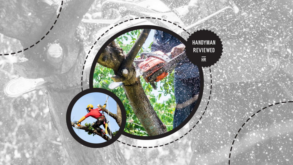 stump-grinding-tree-trimming