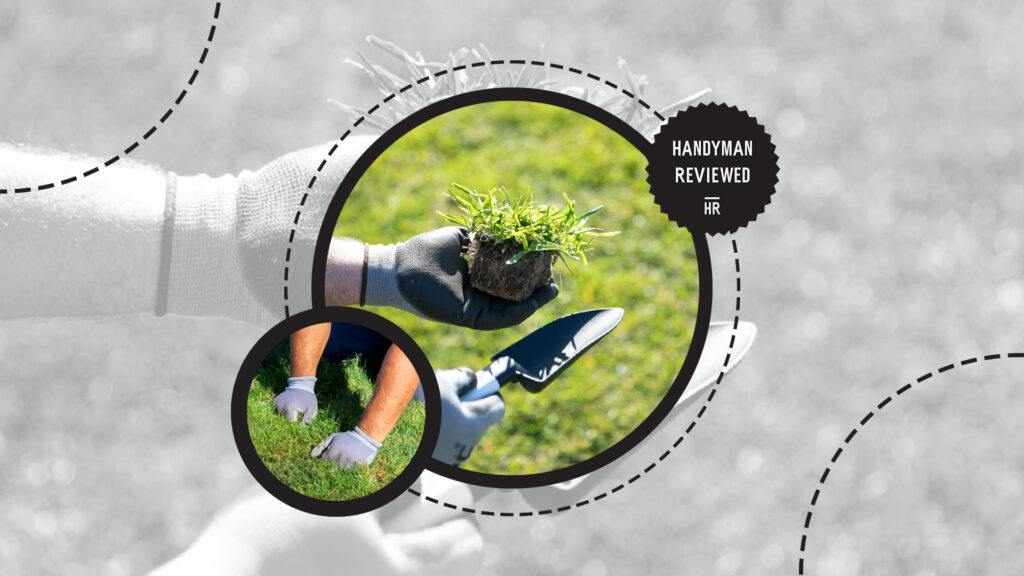 stump-grinding-yard-repair